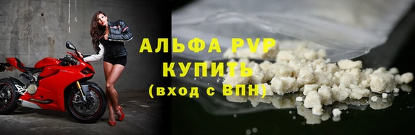 прущие грибы Семилуки