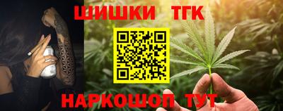 индика Гагарин