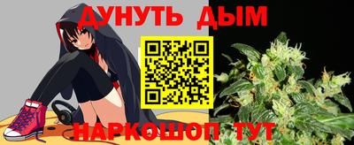 индика Гагарин