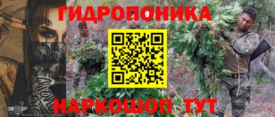 индика Гагарин