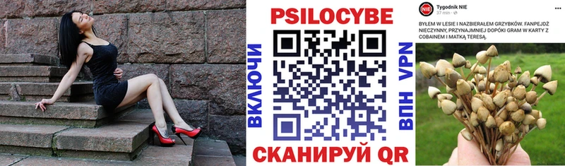 купить закладку Лобня Псилоцибиновые грибы прущие грибы