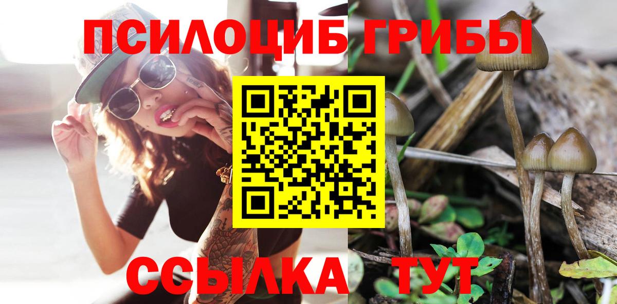 Галлюциногенные грибы Magic Shrooms Лобня