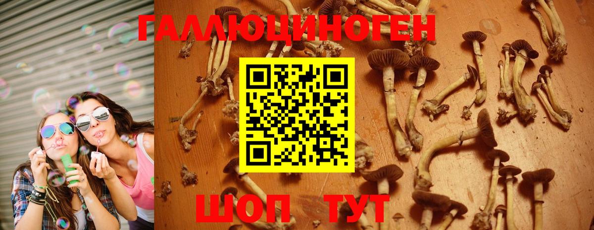 Псилоцибиновые грибы Magic Shrooms Лобня